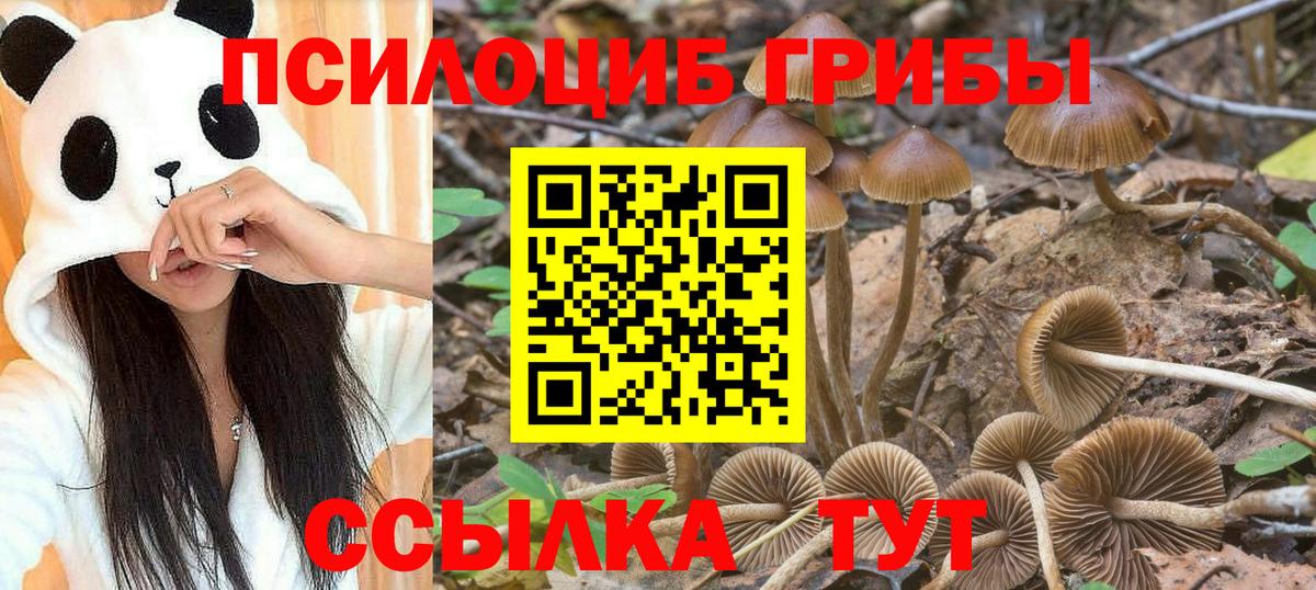 Псилоцибиновые грибы Psilocybine cubensis  Вход с VPN  Электросталь  Галлюциногенные грибы мицелий 
